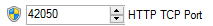 6. The TCP port used for HTTP  iHomeServer Web Access